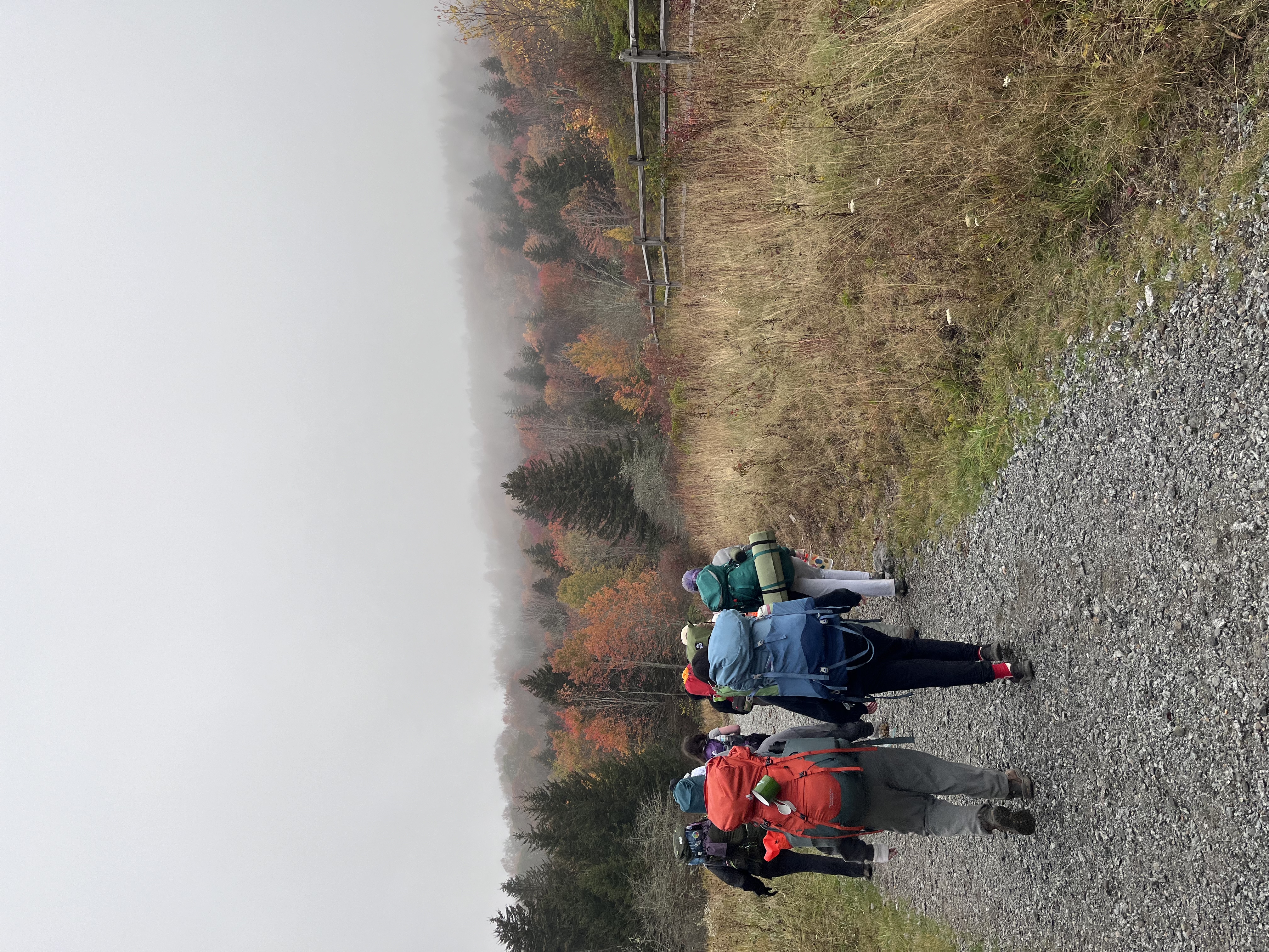 9EC9C88D-4A2D-49F2-9628-ADD4177A35B5