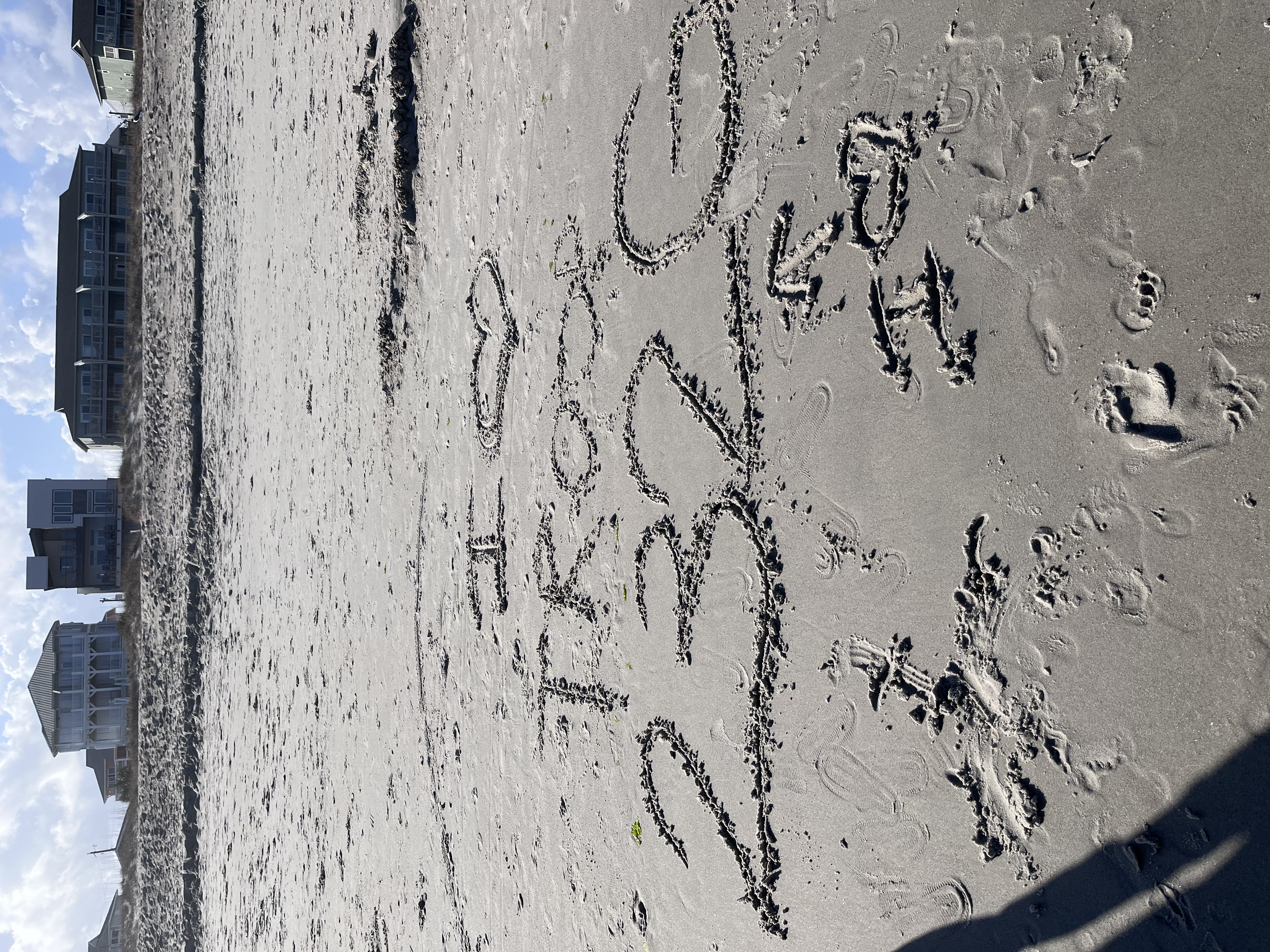 FAD5C639-04E4-4BDE-82DE-D499D3CE66D5